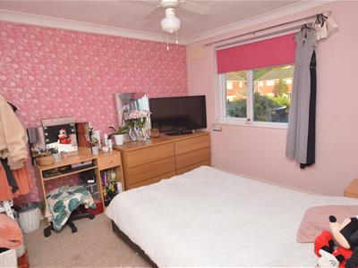 Picture 15